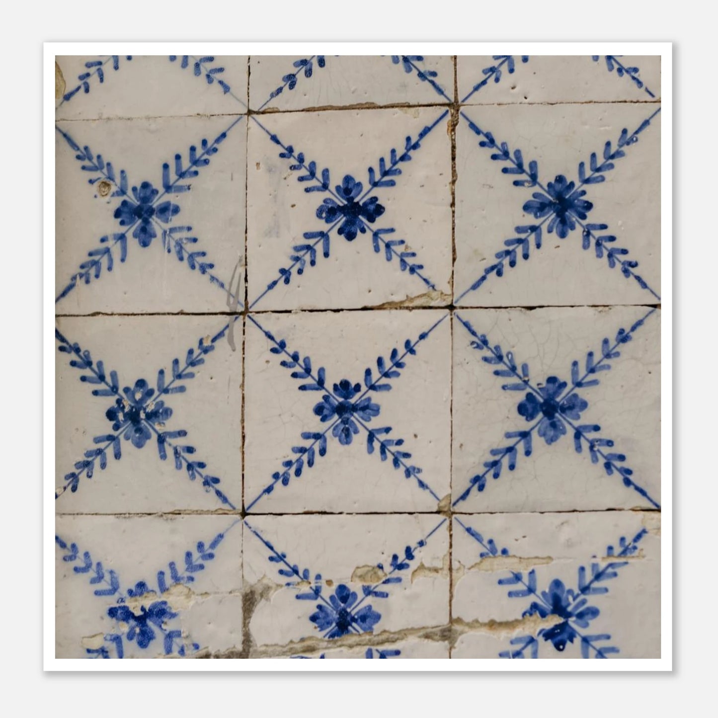 55637729-4fef-460c-8376-72892e5ddfee