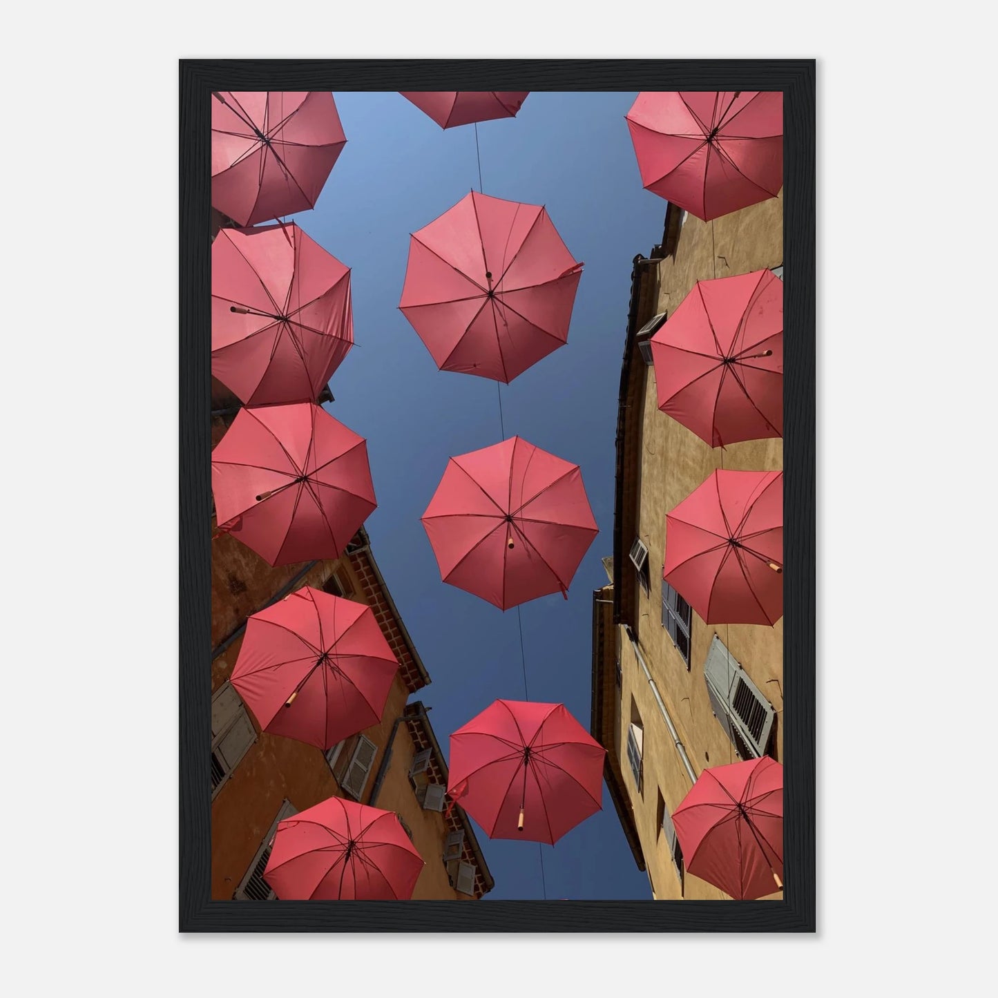 81fb5775-24b8-4c8d-b291-dabc3a73bdce